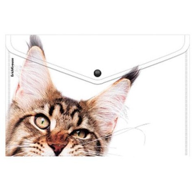 Папка-конверт на кнопке пластиковая ErichKrause Hiding Cats, A4, ассорти, 61155