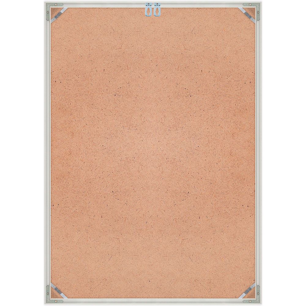 Рамка Нельсон 02, А0, серебро матовое анодир.