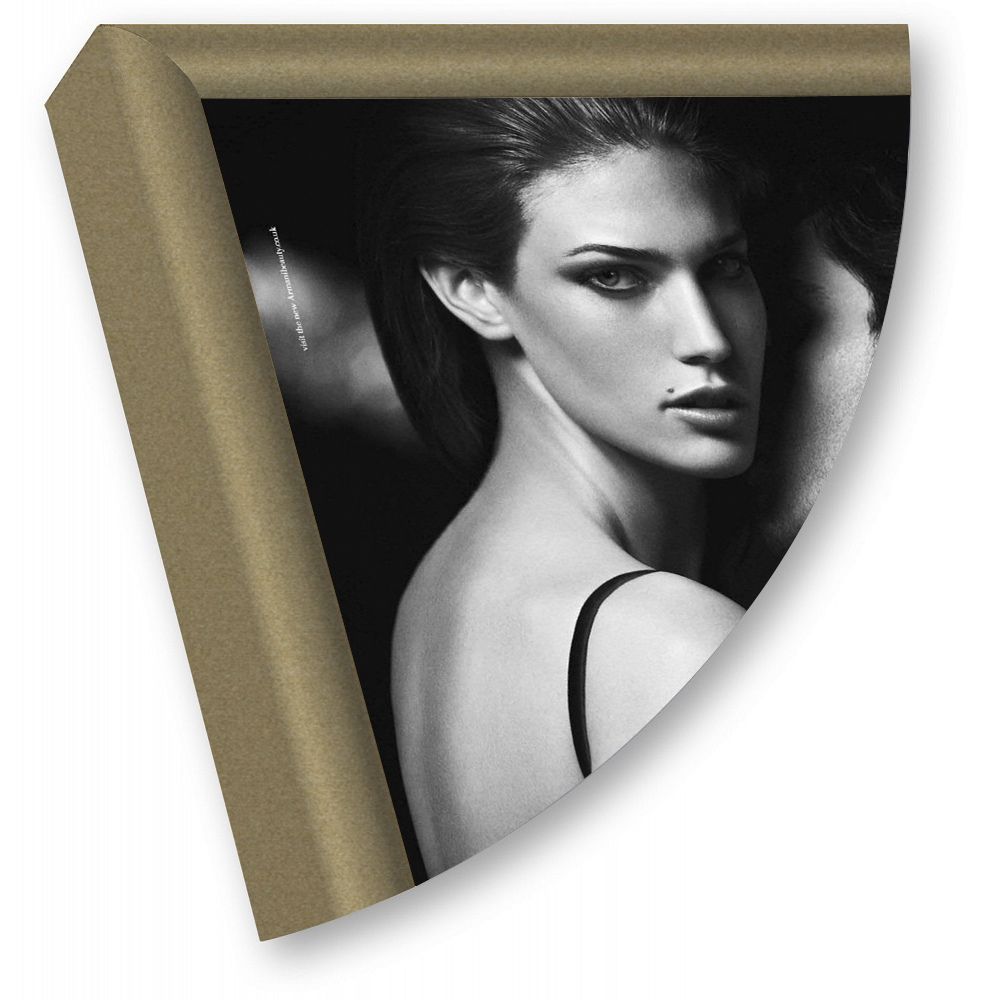 Рамка Нельсон 02, А0, золото матовое окраш. 1923