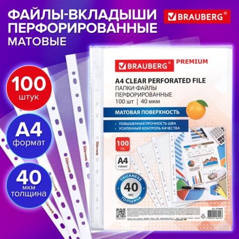 Папки-файлы перфорированные А4 BRAUBERG "PREMIUM", КОМПЛЕКТ 100 шт., матовые, 40 мкм, 273008