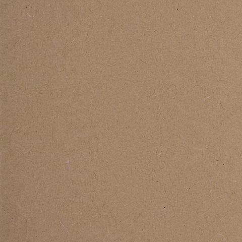 Подвесные папки А4 (350х245 мм), до 300 листов, КОМПЛЕКТ 10 шт., картон, BRAUBERG (Италия), 231788