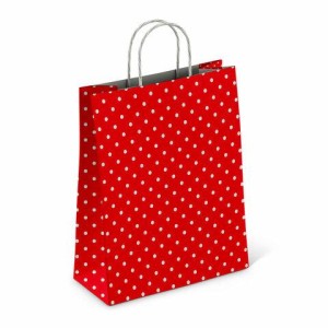 Крафт пакет бумажный Горох на красном 22х12х25см с кручеными ручками, 100 гр/м2, белы, 112979