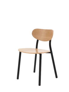 Стул Эко ЖС