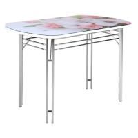 Стол обеденный Фенз №9, с фотопечатью