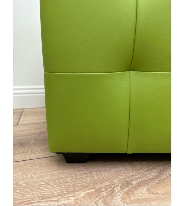 Шайн Кожа (салатовый)