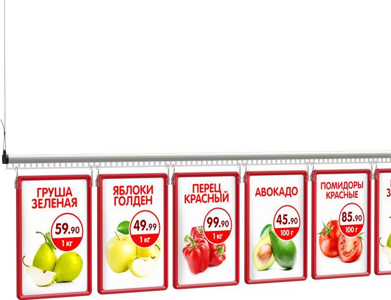 Подвесная система ECOTRACK-SET, длина 2000 мм, анодированная