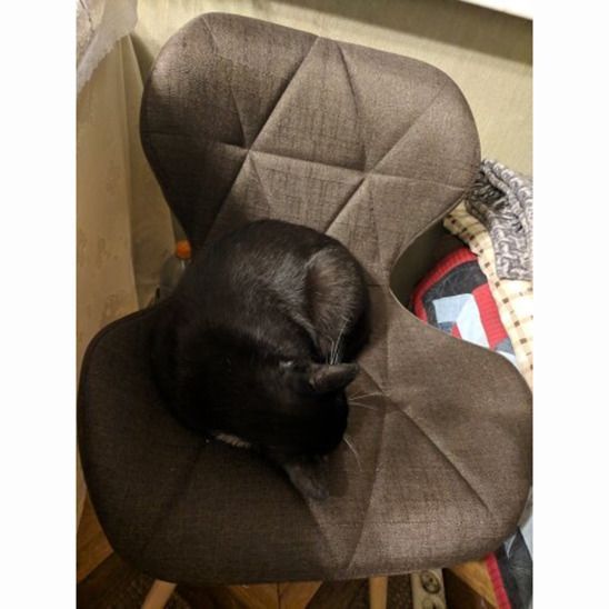 Стул Perfecto, тёмно-коричневый