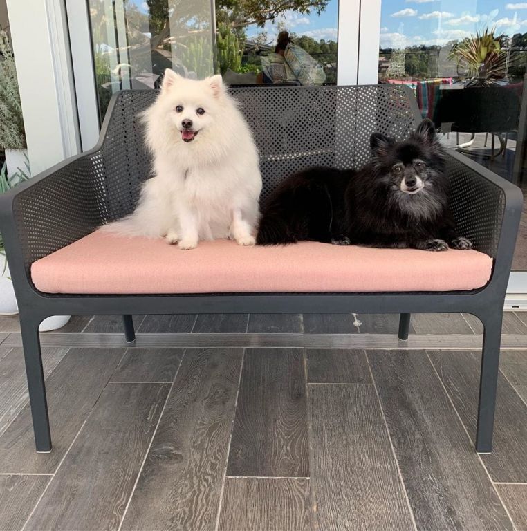 Диван пластиковый Net Bench антрацит