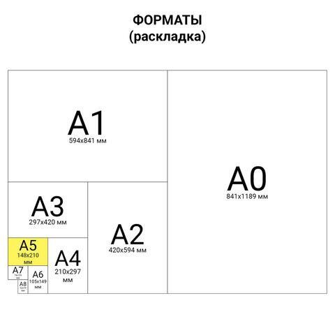 Скоросшиватель пластиковый МАЛОГО ФОРМАТА (160х228 мм), А5, BRAUBERG, 130/180 мкм, синий, 224801