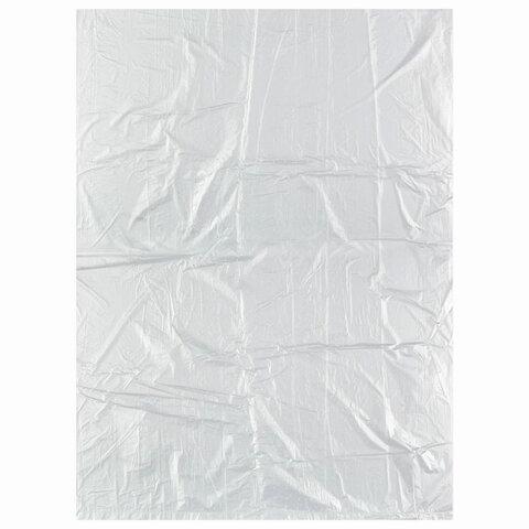 Пакеты фасовочные 24х37 см КОМПЛЕКТ 100 шт., ПНД, 8 мкм, рулон, LAIMA, 605951