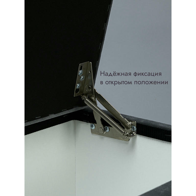 Пуфик Ричмонд-119 (темно-серый)