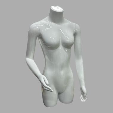HW002 Торс женский объемный с бедром и руками