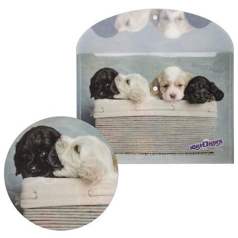 Папка-конверт с кнопкой ЮНЛАНДИЯ "Щенки", А4, 160 мкм, до 100 листов, цветная печать, 228050