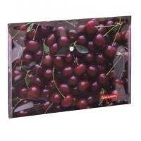 Папка-конверт с кнопкой BRAUBERG "CHERRY", А4, 160 мкм, до 100 листов, цветная печать, 228037