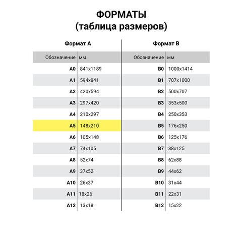 Папка-конверт с кнопкой МАЛОГО ФОРМАТА (240х190 мм), А5, матовая, прозрачная, 0,15 мм, STAFF, 270463