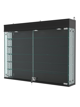 Витрина "АТРИУМ" с регулировочными полками настенная №3А-2-РЕГ, Черный