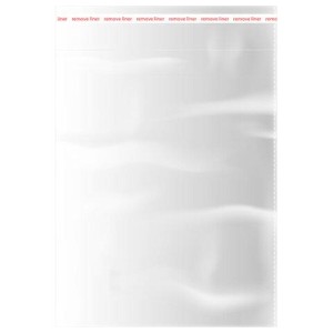 Пакеты БОПП с клеевым клапаном, КОМПЛЕКТ 100 штук, 20х25 + 4 см, 30 мкм, с усиленным швом, BRAUBERG, 700407