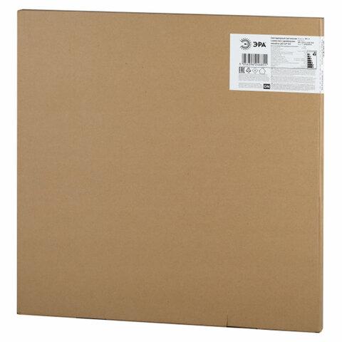 Светодиодная панель без драйвера АРМСТРОНГ ЭРА 6500К, 595х595х8 мм, 40 Вт, матовый, SPL-510-S-65K-040, Б0048924