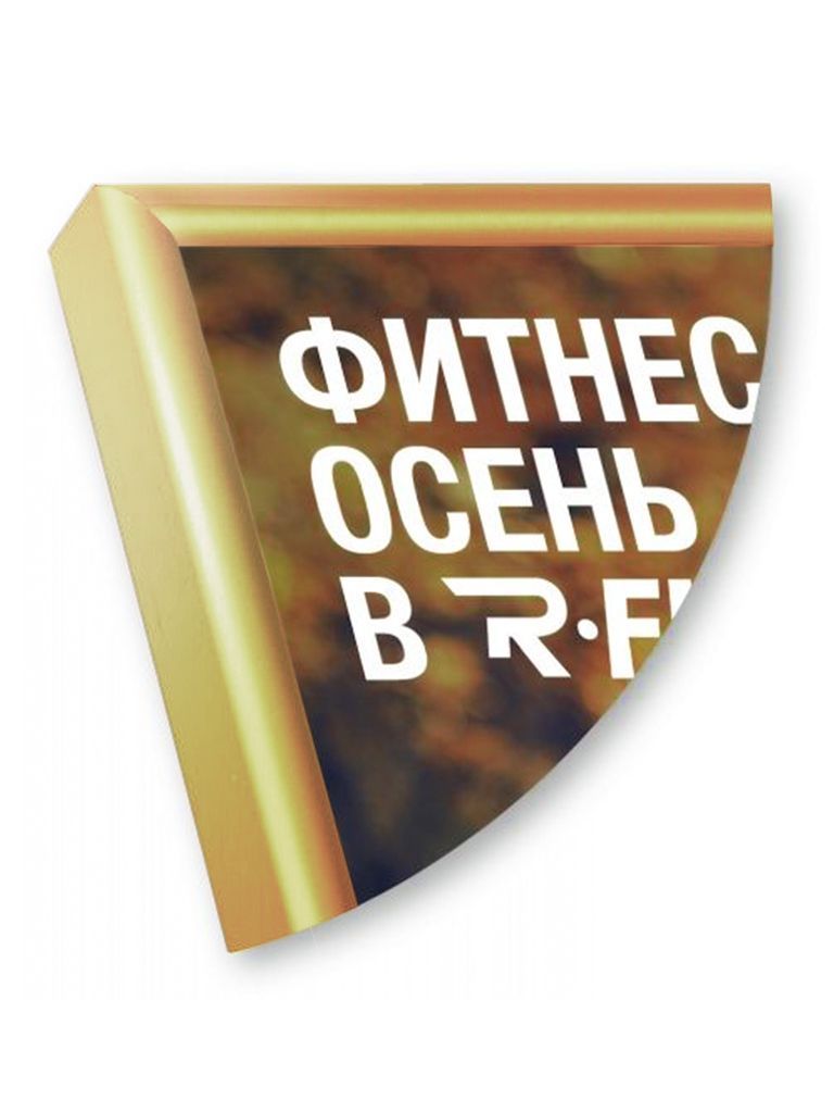 Рамка Нельсон 02, А0, золото глянец анодир.