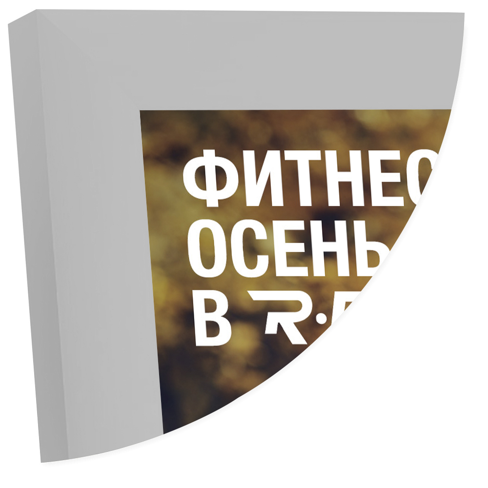 Рамка Нельсон 62 А4, серебро матовое анодир.