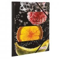 Папка на резинках BRAUBERG "FRESH ZONE", А4, цветная печать, до 300 листов, 500 мкм, 228036