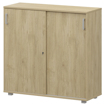 Стеллаж с раздвижными дверями Аргентум НТ-412 Баттл Рок