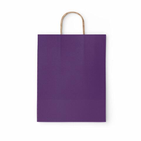 Крафт пакет бумажный Dark violet 26х15х35см с кручеными ручками, 80 гр/м2, моноцвет,, 112405
