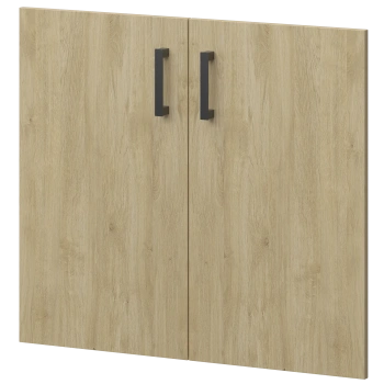 Двери из ЛДСП к широким стеллажам Аргентум НТ-600.2.Ч.Ф Баттл Рок