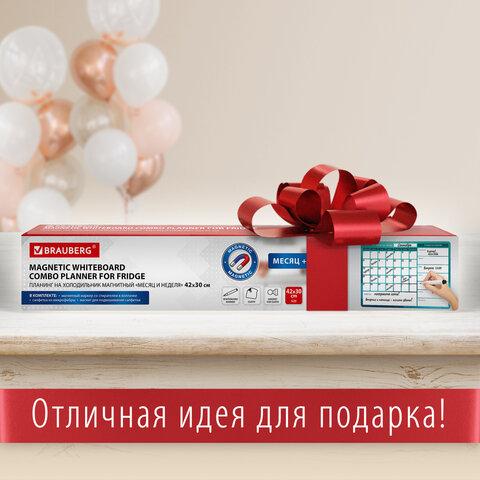 Планинг магнитный "Месяц и Неделя" на холодильник 42х30 см, с маркером и салфеткой, BRAUBERG, 237854