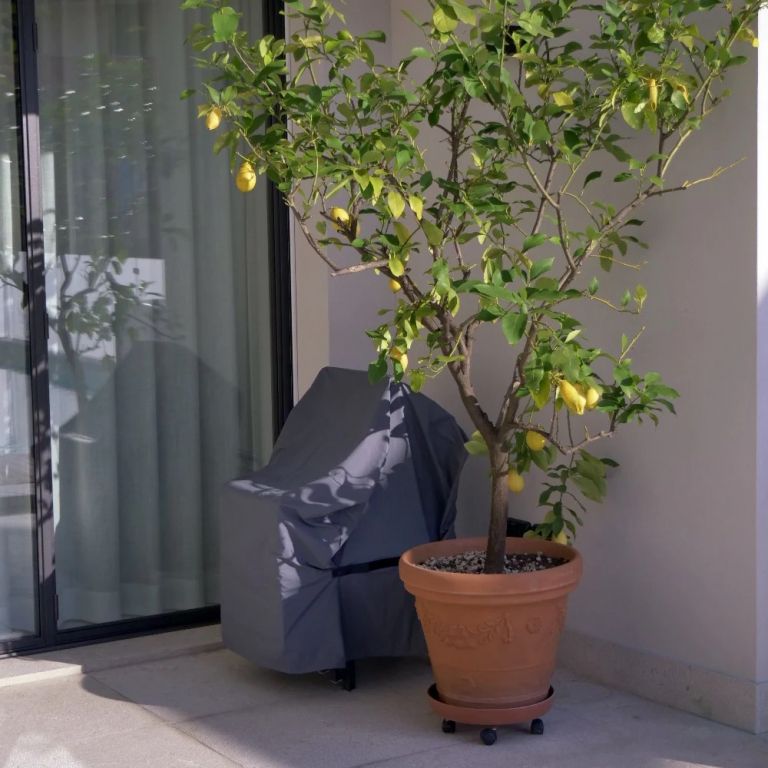 Чехол для мебели Cover Small темно-серый