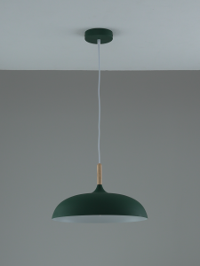 Светильник подвесной Moderli V11804-1P Hygo