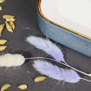 Форма для запекания прямоугольная VITAL, фарфор, синий, 27*15*4,5см