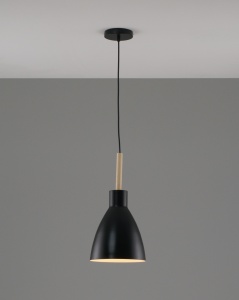 Подвесной светильник Moderli V1281-1P Toni