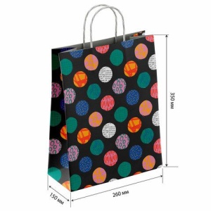 Крафт пакет бумажный Геометрия 26х15х35см с кручеными ручками, плотность 100 гр/м2, б, 112306