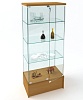 ВК-700 П Шкаф-витрина с подиумом