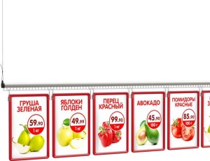 Подвесная система ECOTRACK-SET, длина 2000 мм, анодированная