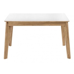 Стол Арья дуб монтана / белый