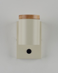 Светильник настенный Moderli V11292-1W Asheswood