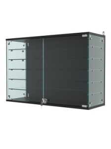 Витрина "АТРИУМ" настенная №3-2Г, Черный