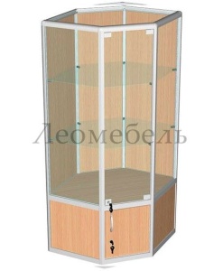 ВА-233-Д Витрина из профиля с накопителем