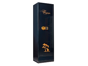 VALBERG серии GOLD