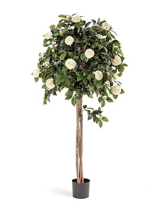 С цветами и плодами