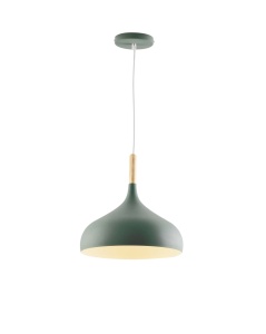 Светильник подвесной Moderli V11445-1P Eline