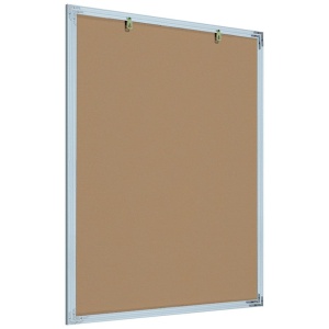 Рамка Нельсон 62, А1, серебро матовое анодир.