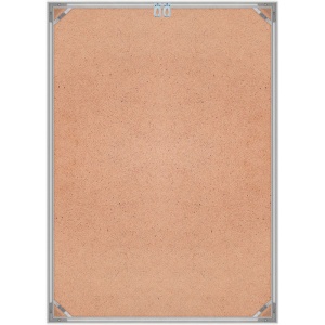 Рамка Нельсон 02, 30х40, серебро глянец анодир.