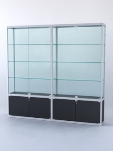 Витрина "ПРЯМОУГОЛЬНАЯ" №2-2м-300-2 (задняя стенка - стекло), Черный