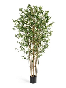 Товары с 3D-моделями