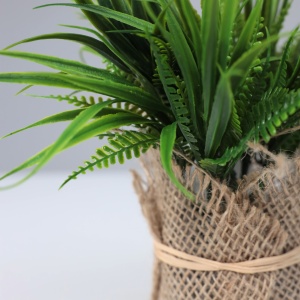 Бонсай MEL, 16*5см