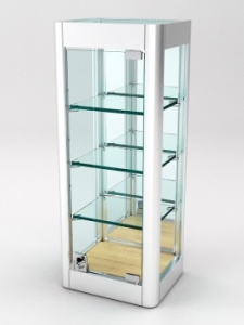 Витрина из профиля настенная "ВАЙБ ИКС" №6-3П-З-170 (задняя стенка Зеркало), Дуб Золотистый