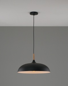 Светильник подвесной Moderli V11448-1P Hygo